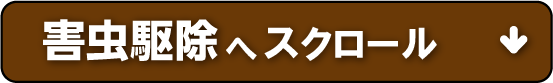 害虫駆除へスクロール