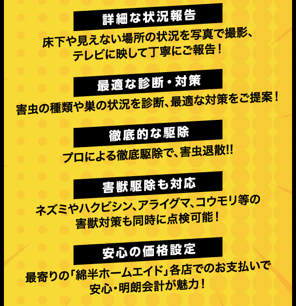 当サービスは、詳細な状況を報告し、最適な芯だ・対策をします。またプロによる徹底的な駆除します。害獣駆除にも対応。安心の価格設定。