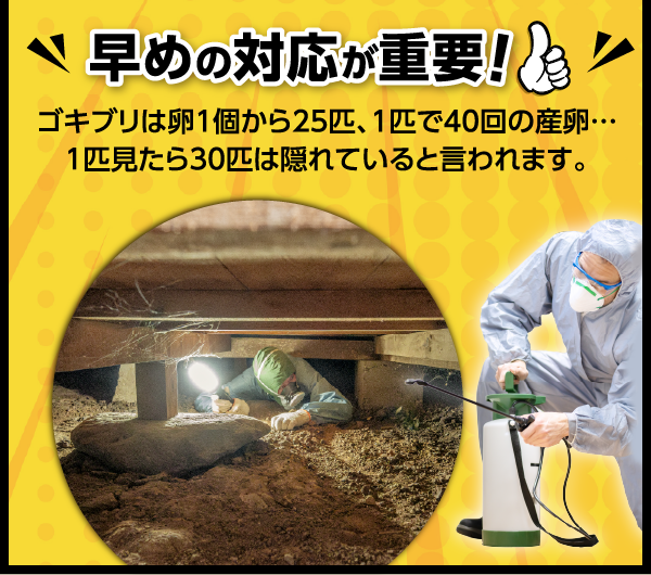 ゴキブリは卵1個から25匹、1匹から40回の産卵をします。1匹見たら30匹は隠れていると言われています。